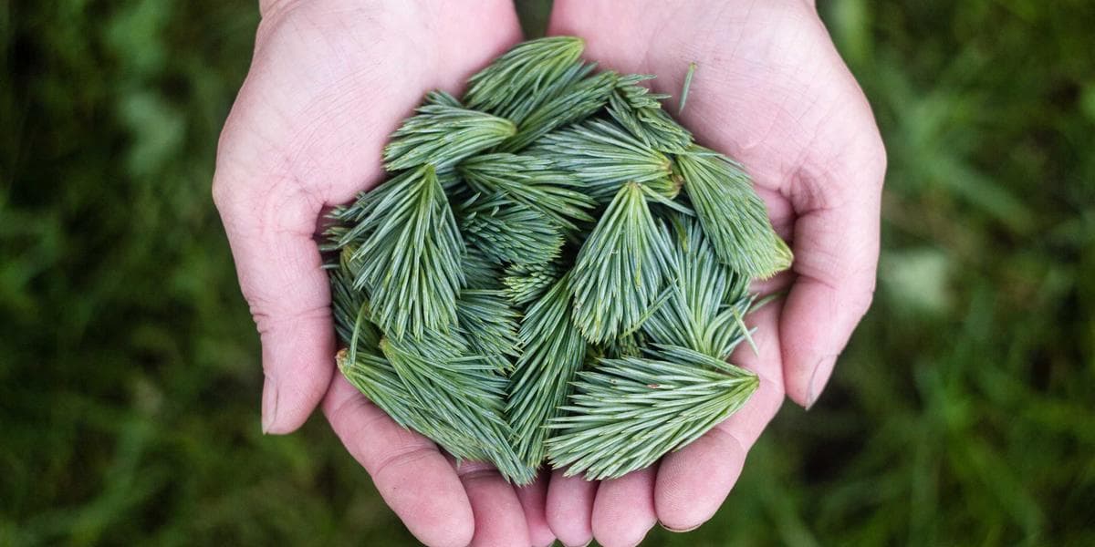 Fintech et banque en ligne en Algérie : où en est-on ?