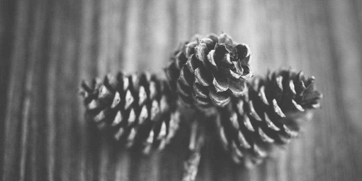 Financement Mourabaha en Algérie : fonctionnement, différences avec un crédit classique et points de vigilance