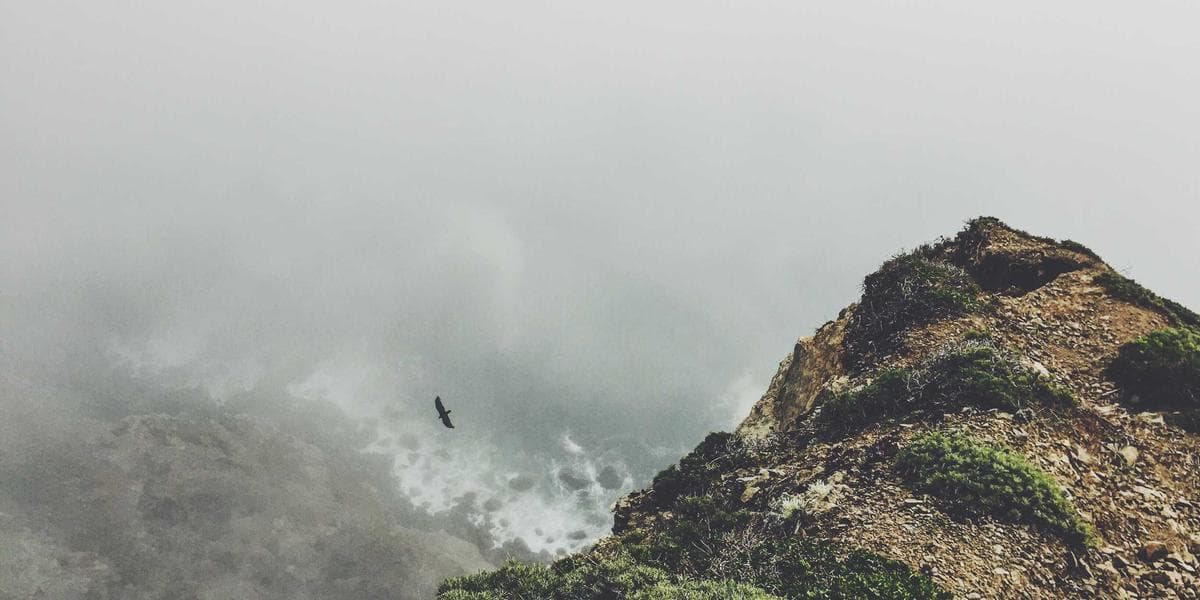 Société Générale Algérie vs BNP Paribas El Djazaïr : comparatif des deux grandes banques privées